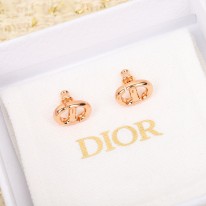 디올 귀걸이