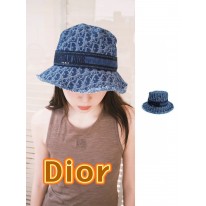 디올 모자