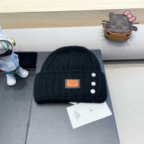 에르메스 겨울 모자